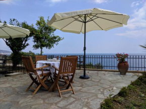 Zennova #3 Mount Athos & Sea View